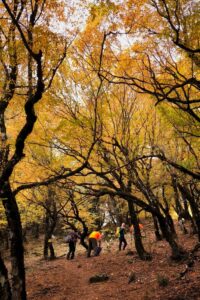 Φωτογραφία από εξόρμηση με την Pindus Nomads στη Γέφυρα Πύλης