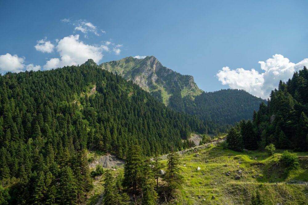 IMG06687_1500_1000 Φωτογραφία από εξόρμηση με την Pindus Nomads στο Μαντάνι δαίμονα