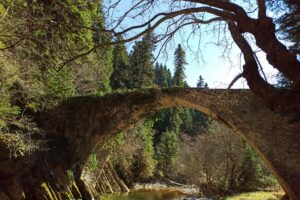 IMG_20200320_193436_1500_1000 Φωτογραφία από εξόρμηση με την Pindus Nomads στη Βλαχόστρατα